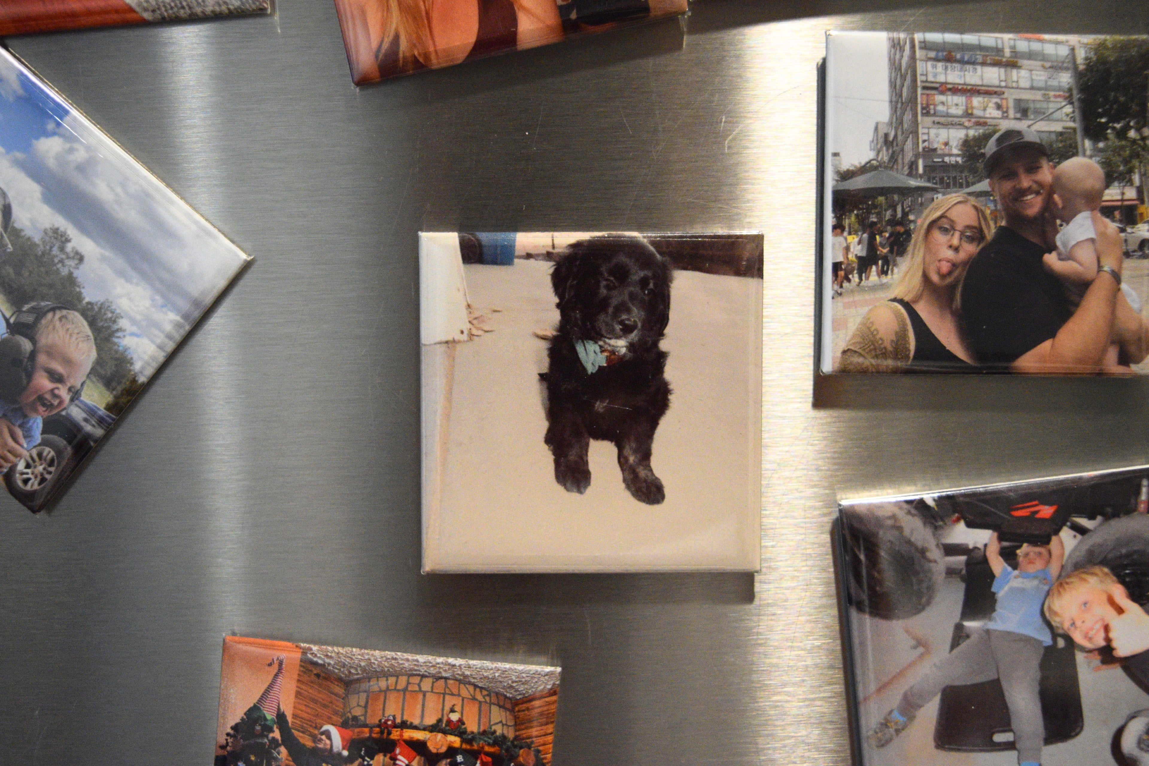 2x2 Inch Custom Photo Magnet